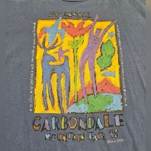 Vintage '95 Haynes Beefy T Colorado